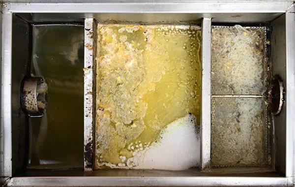 delaying grease interceptor cleaning can lead to clogs, backups, foul odors, and potential fines for non-compliance